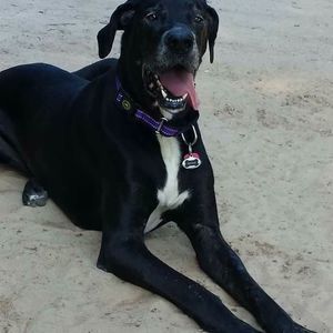 Meet your Posher, Wendy